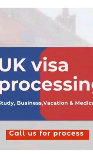 UK Scale-Up Work Visa 2025 Application Process