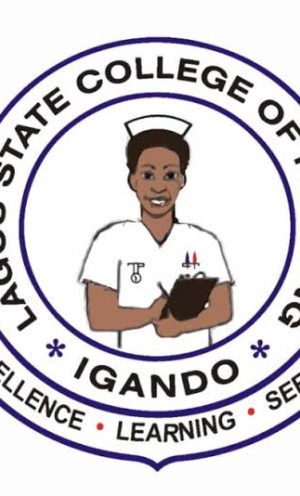 School of Nursing, Igando 2025/2026 Admission Form is out