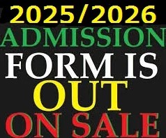CALL +2348132728112 College of Nursing Sciences, Yola, Adamawa State 2025/2026 (Nursing Ad