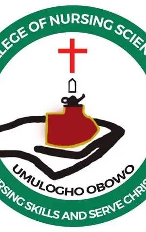 School of Nursing, Our Lady of Mercy Hospital, Umulogho Obowo 2025/202