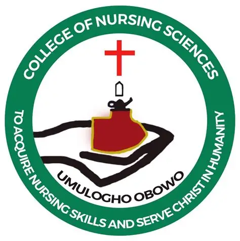 School of Nursing, Our Lady of Mercy Hospital, Umulogho Obowo 2025/202